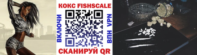 COCAIN FishScale  Купить  Сыктывкар 