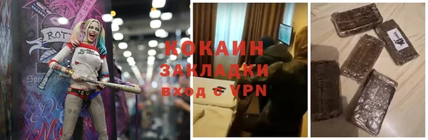 мдпв Новозыбков