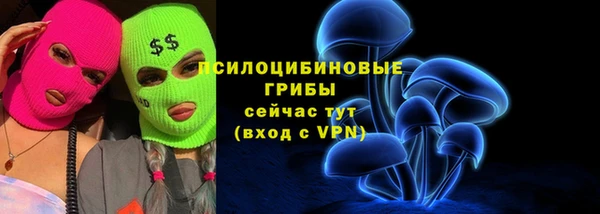 гидропоника Новодвинск