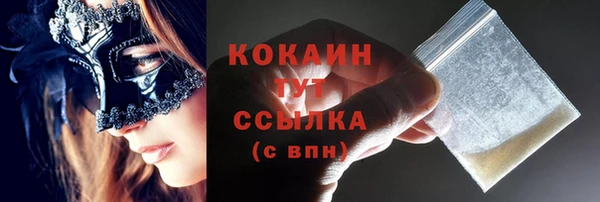 мдпв Новозыбков
