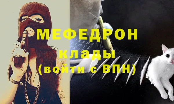 мдпв Новозыбков