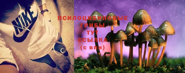 мдпв Новозыбков