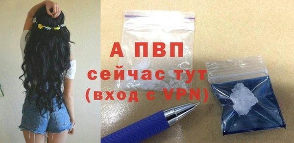 мдпв Новозыбков