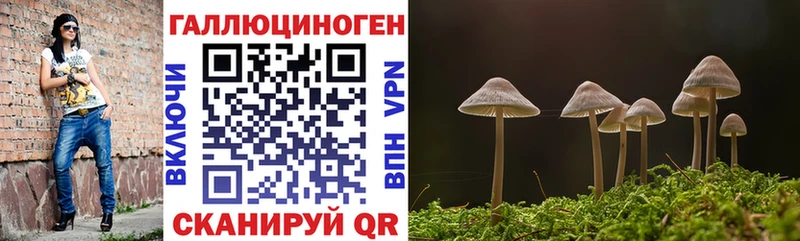 Псилоцибиновые грибы MAGIC MUSHROOMS  Купить закладки  Сыктывкар 